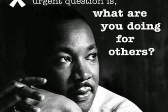 mlk day