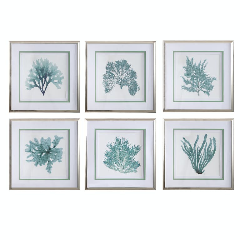 Coral Reef Framed Prints for the Woven Detail Theme